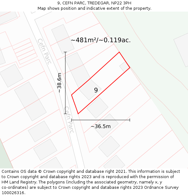 9, CEFN PARC, TREDEGAR, NP22 3PH: Plot and title map