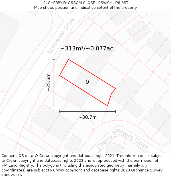 9, CHERRY BLOSSOM CLOSE, IPSWICH, IP8 3ST: Plot and title map