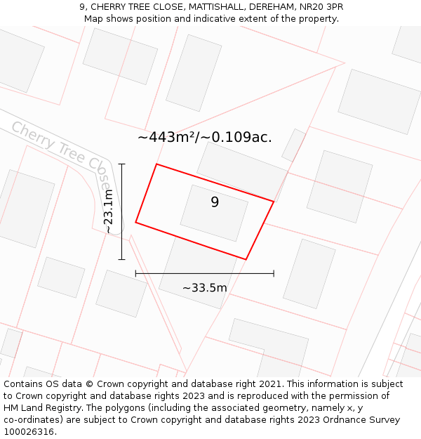 9, CHERRY TREE CLOSE, MATTISHALL, DEREHAM, NR20 3PR: Plot and title map