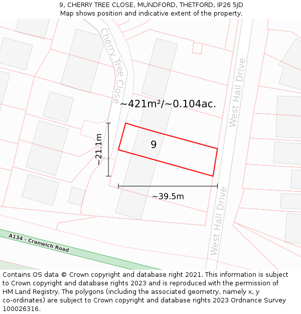 9, CHERRY TREE CLOSE, MUNDFORD, THETFORD, IP26 5JD: Plot and title map