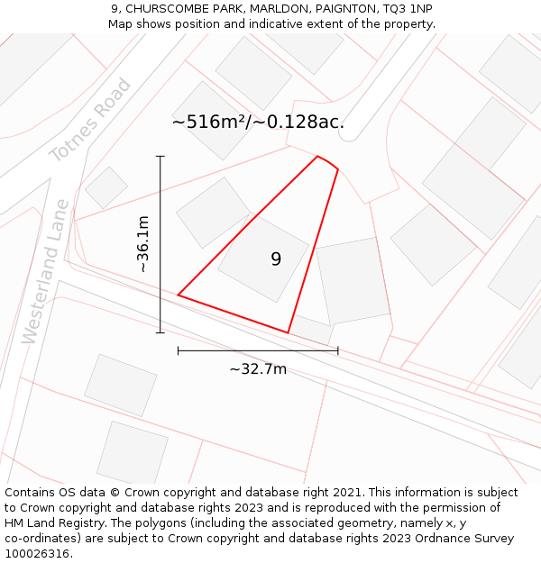 9, CHURSCOMBE PARK, MARLDON, PAIGNTON, TQ3 1NP: Plot and title map