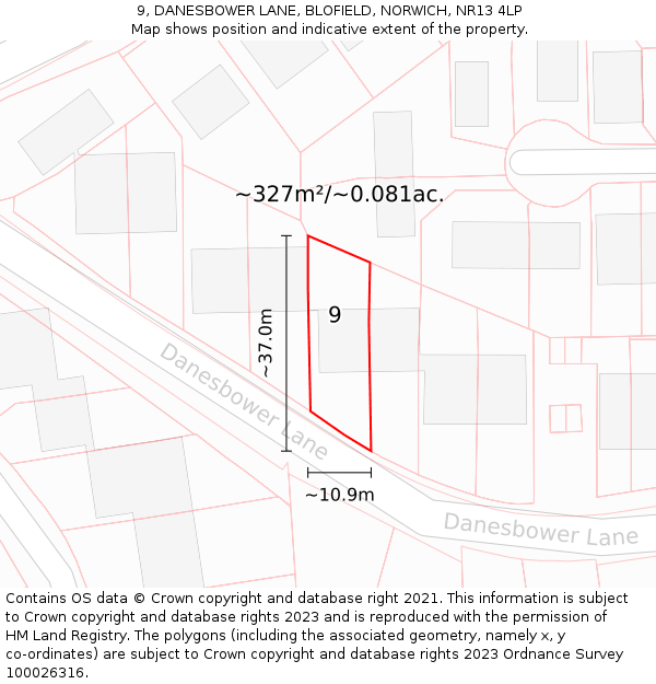 9, DANESBOWER LANE, BLOFIELD, NORWICH, NR13 4LP: Plot and title map