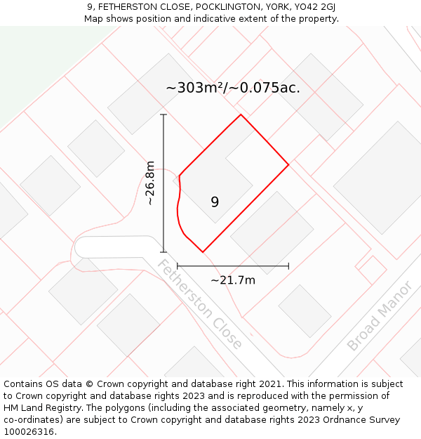 9, FETHERSTON CLOSE, POCKLINGTON, YORK, YO42 2GJ: Plot and title map