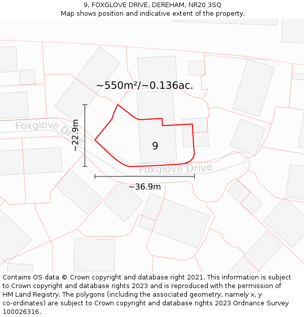 9, FOXGLOVE DRIVE, DEREHAM, NR20 3SQ: Plot and title map