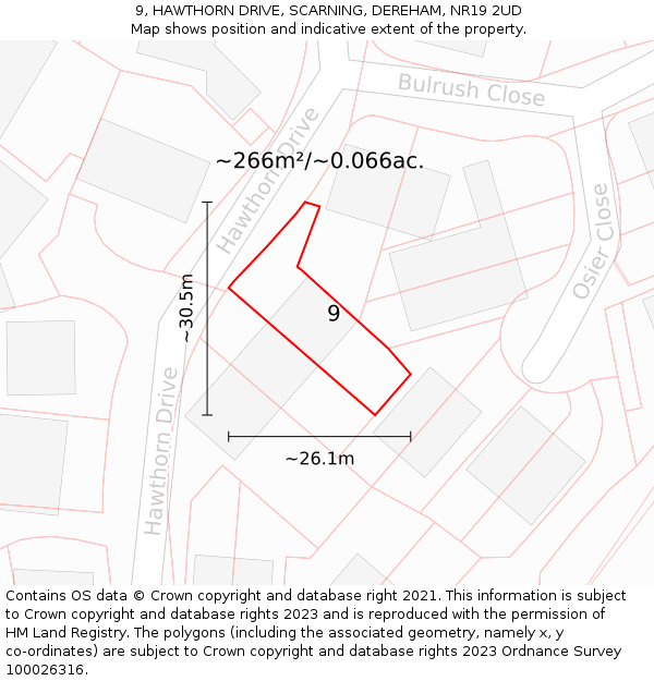 9, HAWTHORN DRIVE, SCARNING, DEREHAM, NR19 2UD: Plot and title map