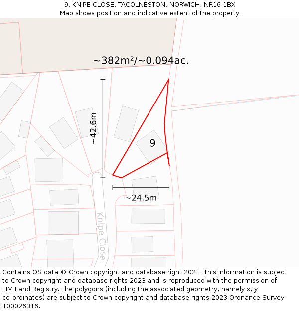 9, KNIPE CLOSE, TACOLNESTON, NORWICH, NR16 1BX: Plot and title map