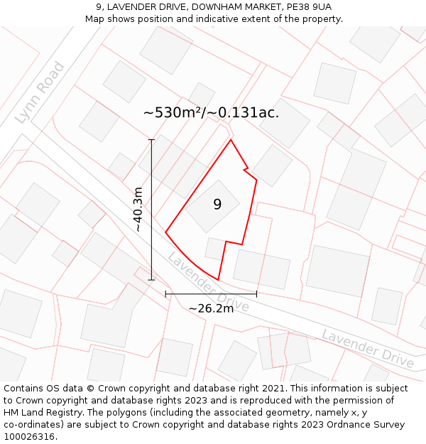 9, LAVENDER DRIVE, DOWNHAM MARKET, PE38 9UA: Plot and title map