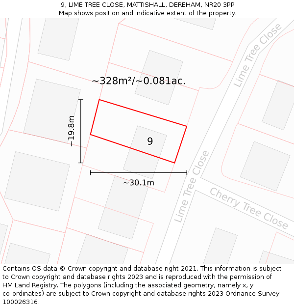 9, LIME TREE CLOSE, MATTISHALL, DEREHAM, NR20 3PP: Plot and title map
