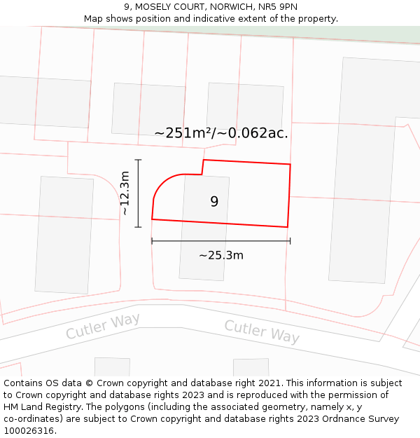 9, MOSELY COURT, NORWICH, NR5 9PN: Plot and title map