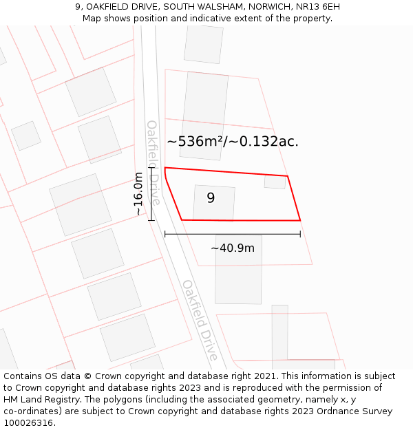 9, OAKFIELD DRIVE, SOUTH WALSHAM, NORWICH, NR13 6EH: Plot and title map
