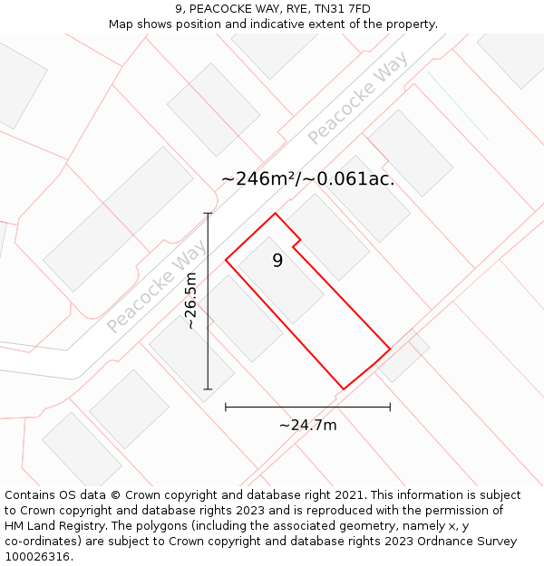 9, PEACOCKE WAY, RYE, TN31 7FD: Plot and title map