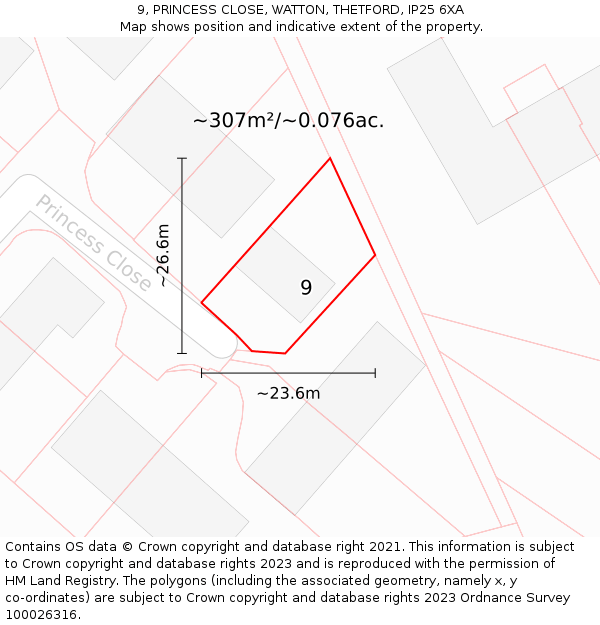 9, PRINCESS CLOSE, WATTON, THETFORD, IP25 6XA: Plot and title map