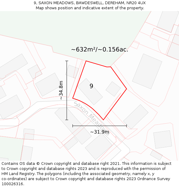 9, SAXON MEADOWS, BAWDESWELL, DEREHAM, NR20 4UX: Plot and title map