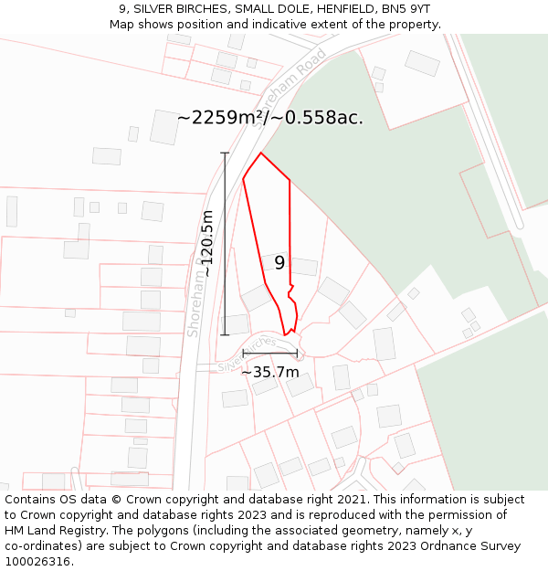 9, SILVER BIRCHES, SMALL DOLE, HENFIELD, BN5 9YT: Plot and title map
