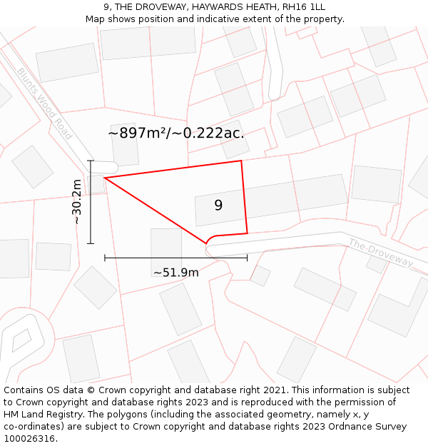 9, THE DROVEWAY, HAYWARDS HEATH, RH16 1LL: Plot and title map