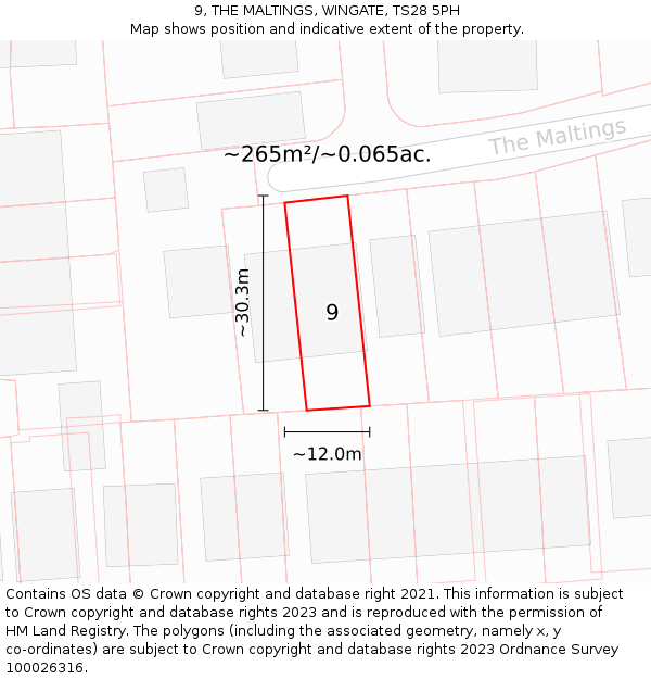 9, THE MALTINGS, WINGATE, TS28 5PH: Plot and title map