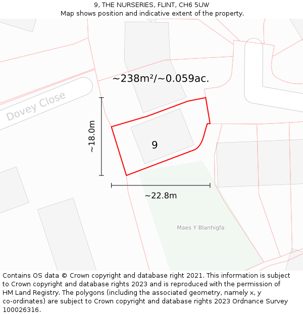 9, THE NURSERIES, FLINT, CH6 5UW: Plot and title map