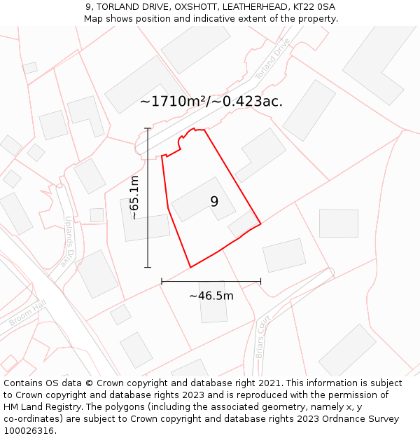 9, TORLAND DRIVE, OXSHOTT, LEATHERHEAD, KT22 0SA: Plot and title map