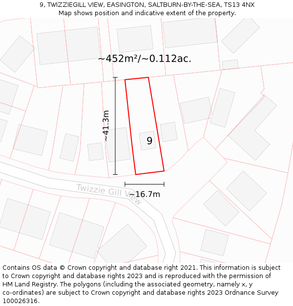 9, TWIZZIEGILL VIEW, EASINGTON, SALTBURN-BY-THE-SEA, TS13 4NX: Plot and title map