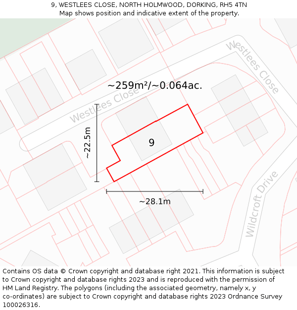 9, WESTLEES CLOSE, NORTH HOLMWOOD, DORKING, RH5 4TN: Plot and title map