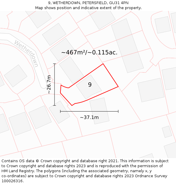 9, WETHERDOWN, PETERSFIELD, GU31 4PN: Plot and title map