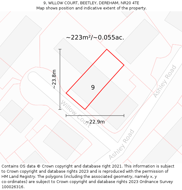9, WILLOW COURT, BEETLEY, DEREHAM, NR20 4TE: Plot and title map