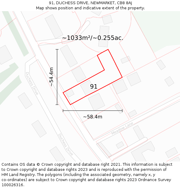 91, DUCHESS DRIVE, NEWMARKET, CB8 8AJ: Plot and title map
