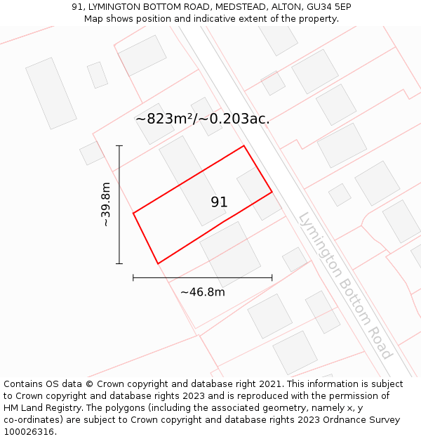 91, LYMINGTON BOTTOM ROAD, MEDSTEAD, ALTON, GU34 5EP: Plot and title map