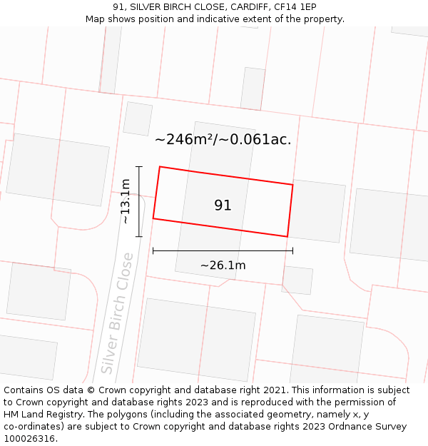 91, SILVER BIRCH CLOSE, CARDIFF, CF14 1EP: Plot and title map