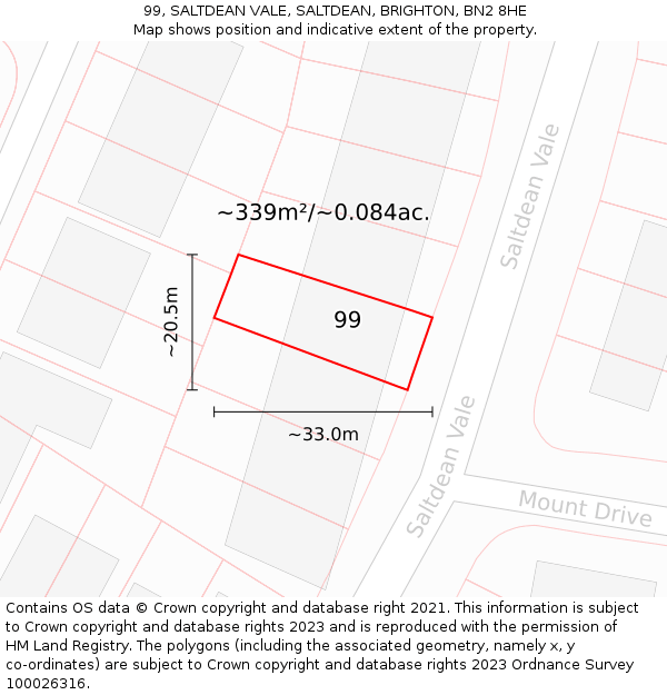 99, SALTDEAN VALE, SALTDEAN, BRIGHTON, BN2 8HE: Plot and title map