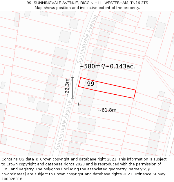 99, SUNNINGVALE AVENUE, BIGGIN HILL, WESTERHAM, TN16 3TS: Plot and title map