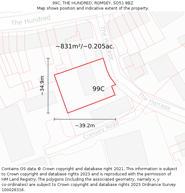99C, THE HUNDRED, ROMSEY, SO51 8BZ: Plot and title map