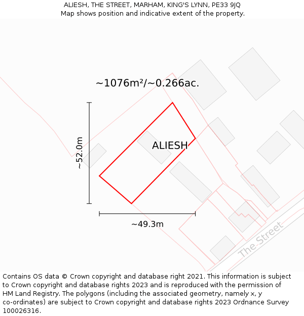ALIESH, THE STREET, MARHAM, KING'S LYNN, PE33 9JQ: Plot and title map