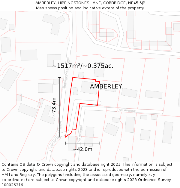 AMBERLEY, HIPPINGSTONES LANE, CORBRIDGE, NE45 5JP: Plot and title map