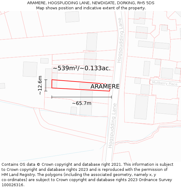 ARAMERE, HOGSPUDDING LANE, NEWDIGATE, DORKING, RH5 5DS: Plot and title map