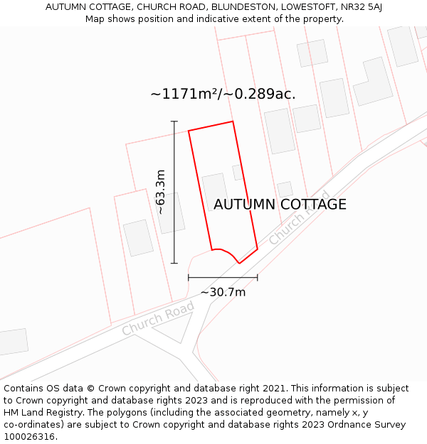 AUTUMN COTTAGE, CHURCH ROAD, BLUNDESTON, LOWESTOFT, NR32 5AJ: Plot and title map