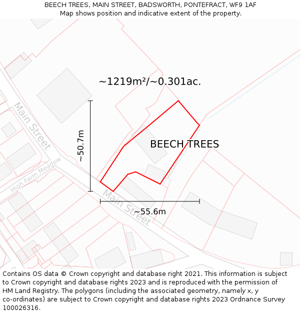 BEECH TREES, MAIN STREET, BADSWORTH, PONTEFRACT, WF9 1AF: Plot and title map