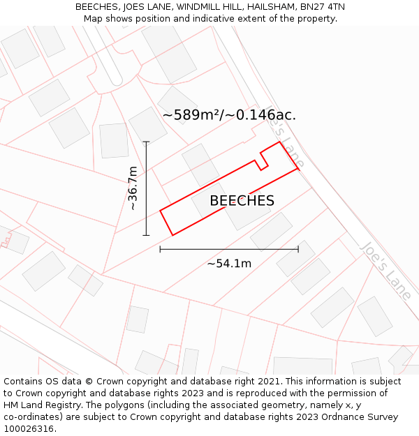 BEECHES, JOES LANE, WINDMILL HILL, HAILSHAM, BN27 4TN: Plot and title map