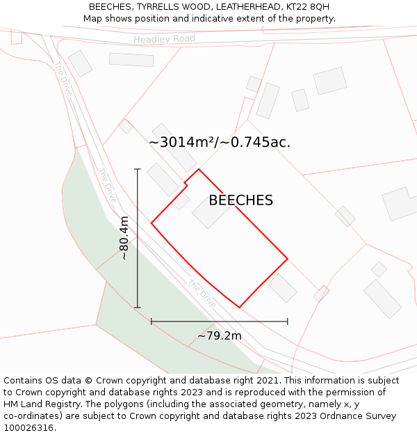 BEECHES, TYRRELLS WOOD, LEATHERHEAD, KT22 8QH: Plot and title map