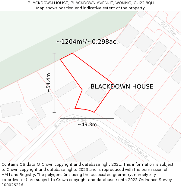 BLACKDOWN HOUSE, BLACKDOWN AVENUE, WOKING, GU22 8QH: Plot and title map