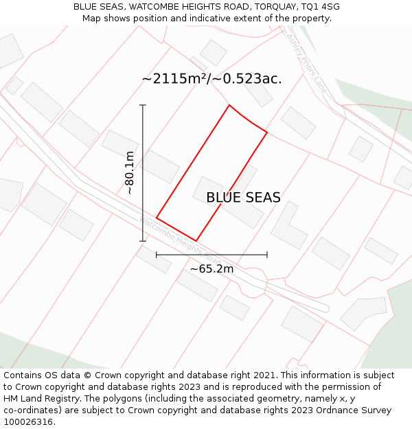 BLUE SEAS, WATCOMBE HEIGHTS ROAD, TORQUAY, TQ1 4SG: Plot and title map