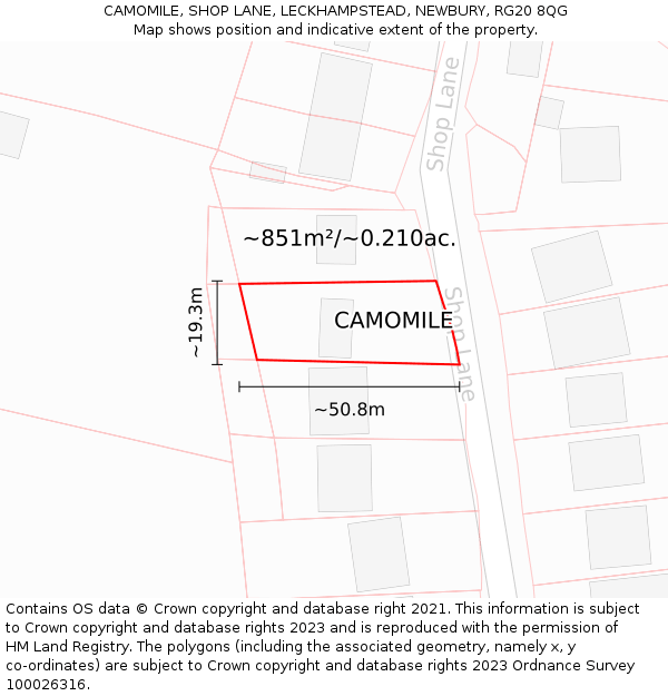 CAMOMILE, SHOP LANE, LECKHAMPSTEAD, NEWBURY, RG20 8QG: Plot and title map