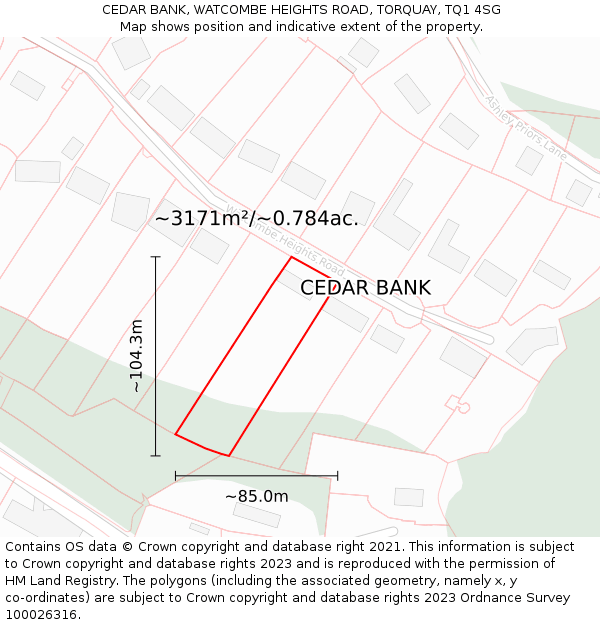 CEDAR BANK, WATCOMBE HEIGHTS ROAD, TORQUAY, TQ1 4SG: Plot and title map