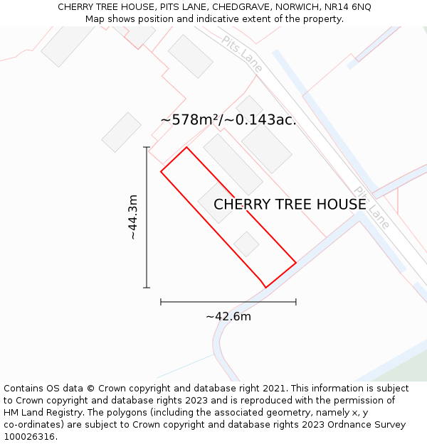 CHERRY TREE HOUSE, PITS LANE, CHEDGRAVE, NORWICH, NR14 6NQ: Plot and title map