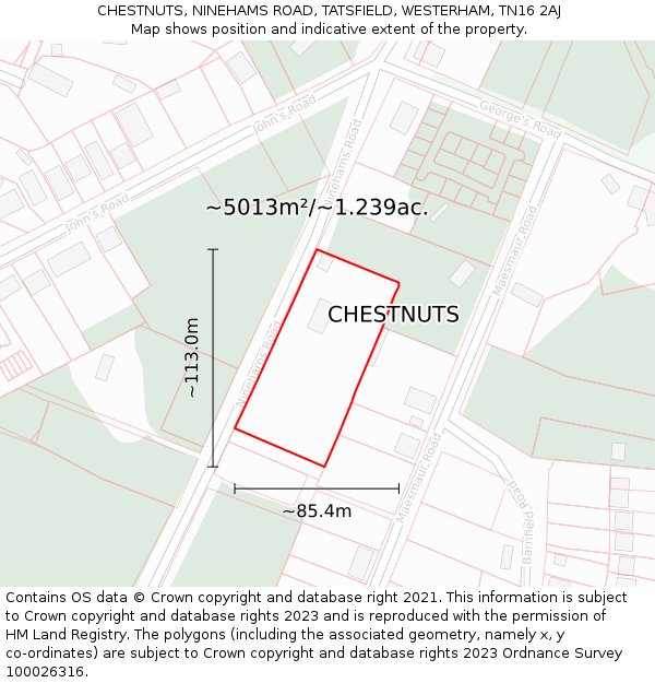 CHESTNUTS, NINEHAMS ROAD, TATSFIELD, WESTERHAM, TN16 2AJ: Plot and title map