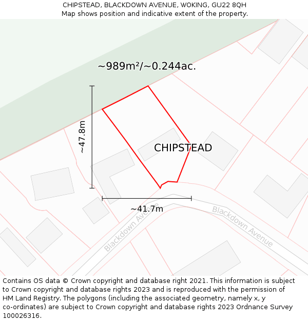 CHIPSTEAD, BLACKDOWN AVENUE, WOKING, GU22 8QH: Plot and title map