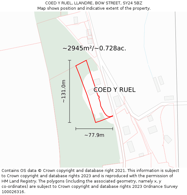 COED Y RUEL, LLANDRE, BOW STREET, SY24 5BZ: Plot and title map