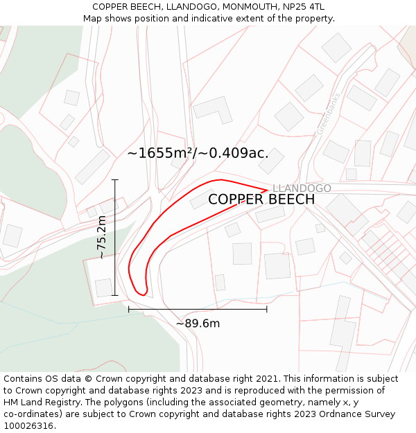 COPPER BEECH, LLANDOGO, MONMOUTH, NP25 4TL: Plot and title map