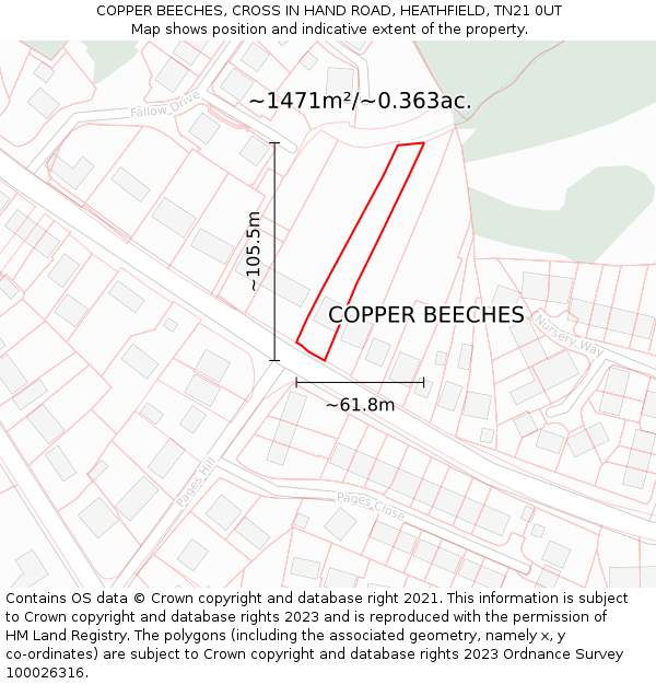 COPPER BEECHES, CROSS IN HAND ROAD, HEATHFIELD, TN21 0UT: Plot and title map