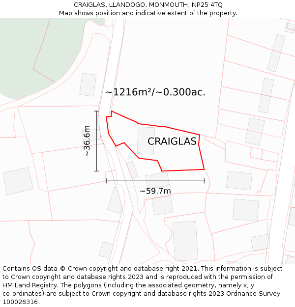 CRAIGLAS, LLANDOGO, MONMOUTH, NP25 4TQ: Plot and title map